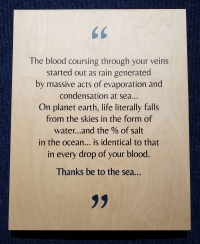 A snippet of poetry from Duncan Berry, which reads 'The blood coursing through your veins started out as rain generated by massive acts of evaporation and condensation at sea... On planet earth, life literally falls from the skies in the form of water... and the percentage of salt in the ocean... is identical to that in every drop of your blood. Thanks be to the sea...'