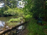 A serene photo of a forested creek with a green plastic chair on the bank and a small orange sign at its feet