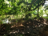 A shaded rocky area off of a green creek