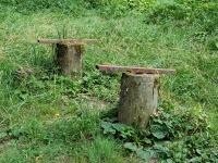 Two old cement stumps where a picnic bench used to be