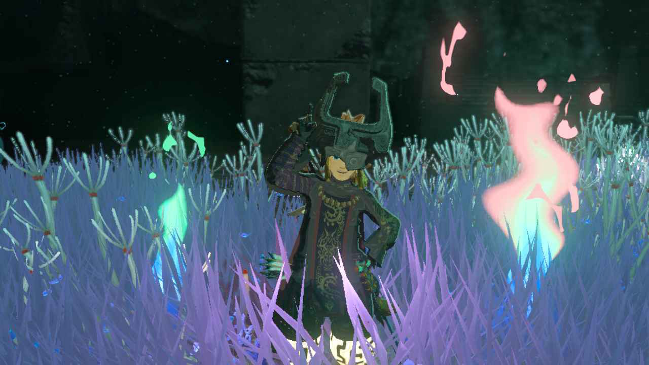 Link, in Midna's helmet and the gloom tunic, posing in the purple grass in front of the colorful poes