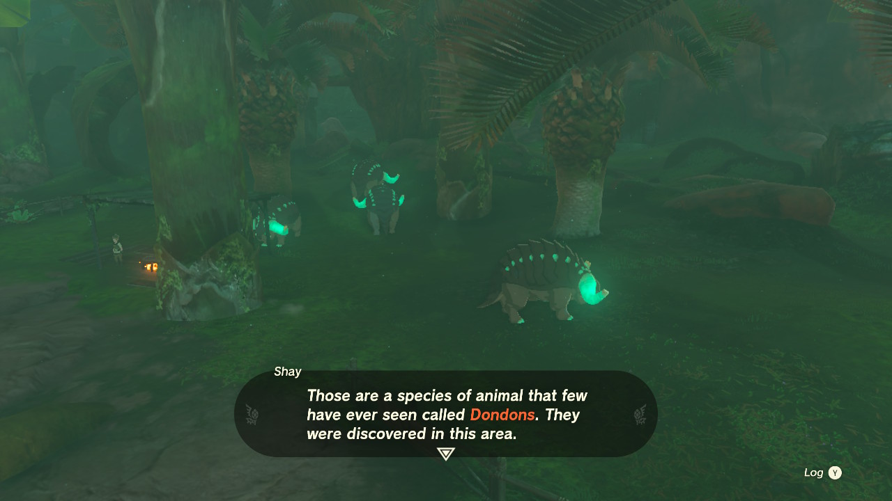 Mammals with luminous-stone horns and armadillo-like plating. An NPC explains, 'Those are a species of animal that few have ever seen called Dondons. They were discovered in this area'