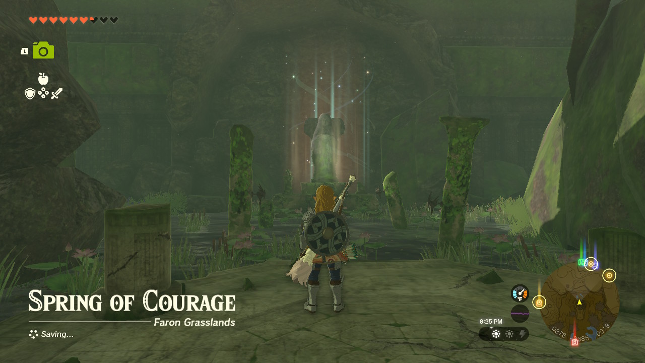 Link stands before the Spring of Courage