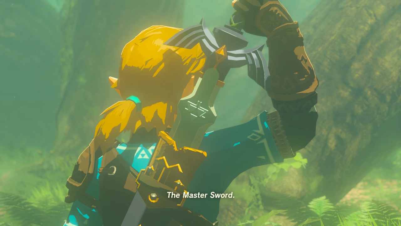 The Master Sword on Link's back
