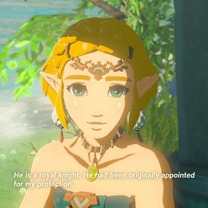 Zelda smiles gently, saying 'He is a royal knight. He had been originally appointed for my protection.'