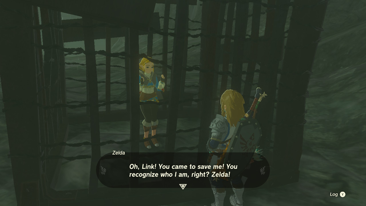 Zelda smiles at Link. 'Oh, Link! You came to save me! You recognize who I am, right? Zelda!'